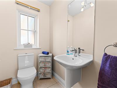 Picture 19